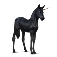 fantasy & Unicorn free transparent png image.