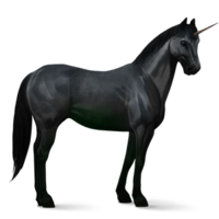 fantasy & unicorn free transparent png image.