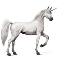 fantasy & Unicorn free transparent png image.