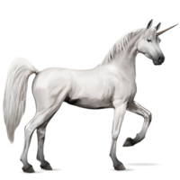 fantasy & unicorn free transparent png image.