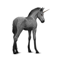 fantasy & Unicorn free transparent png image.