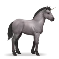 fantasy & unicorn free transparent png image.