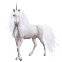 fantasy & Unicorn free transparent png image.