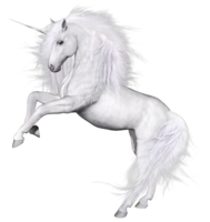 fantasy & unicorn free transparent png image.