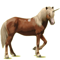 fantasy & Unicorn free transparent png image.