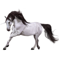 fantasy & Unicorn free transparent png image.