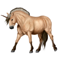 fantasy & unicorn free transparent png image.