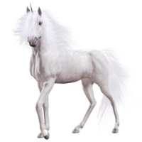 fantasy & unicorn free transparent png image.