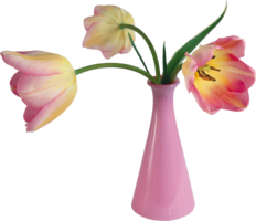 flowers & Vase free transparent png image.