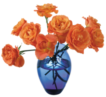 flowers & Vase free transparent png image.