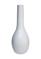 flowers & Vase free transparent png image.