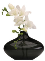 flowers & vase free transparent png image.