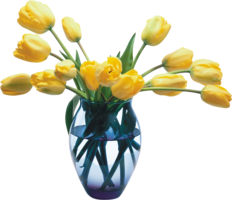 flowers & Vase free transparent png image.