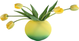 flowers & Vase free transparent png image.