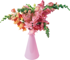 flowers & Vase free transparent png image.