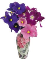 flowers & vase free transparent png image.