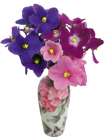 flowers & Vase free transparent png image.