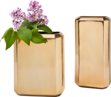 flowers & Vase free transparent png image.