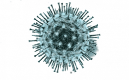 miscellaneous & virus free transparent png image.