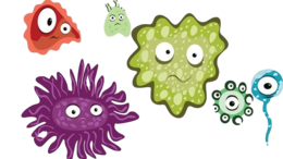 miscellaneous & virus free transparent png image.