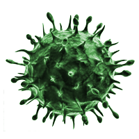 miscellaneous & Virus free transparent png image.