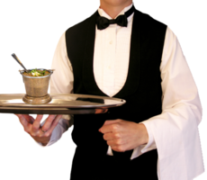 people & waiter free transparent png image.