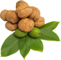 fruits & walnut free transparent png image.