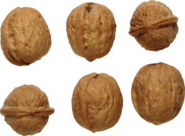 fruits & walnut free transparent png image.