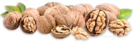 fruits & walnut free transparent png image.