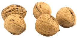 fruits & Walnut free transparent png image.