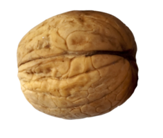 fruits & walnut free transparent png image.