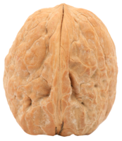 fruits & Walnut free transparent png image.