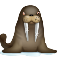 animals & Walrus free transparent png image.