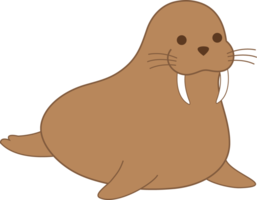 animals & Walrus free transparent png image.