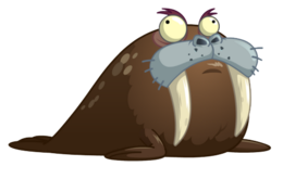 animals & walrus free transparent png image.