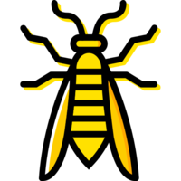 insects & wasp free transparent png image.