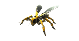 insects & Wasp free transparent png image.