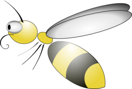 insects & Wasp free transparent png image.