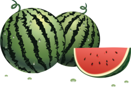 fruits & Watermelon free transparent png image.