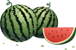 fruits & watermelon free transparent png image.