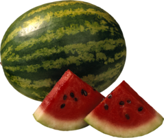 fruits & watermelon free transparent png image.