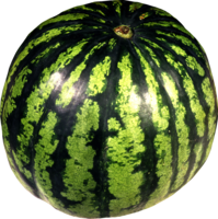 fruits & Watermelon free transparent png image.