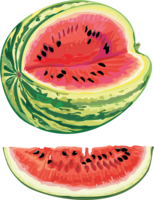 fruits & Watermelon free transparent png image.