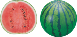 fruits & watermelon free transparent png image.