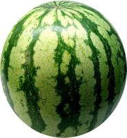 fruits & Watermelon free transparent png image.