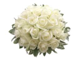 holidays & wedding free transparent png image.