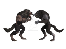 fantasy & Werewolf free transparent png image.