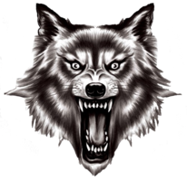 fantasy & werewolf free transparent png image.