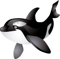 animals & Whale free transparent png image.