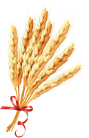 nature & wheat free transparent png image.